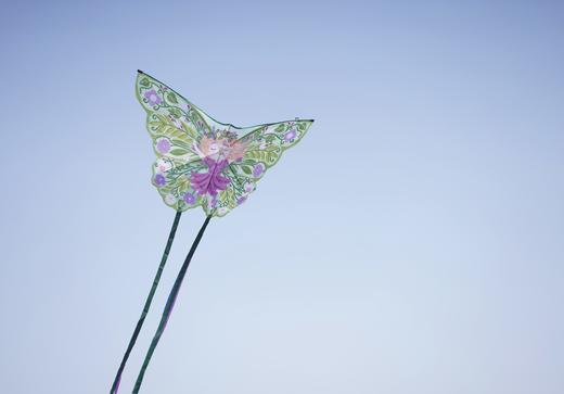 Pavobella设计师品牌风筝更美得户外运动，不昂贵的品质生活 商品图13