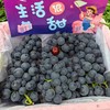 【满150元全疆包邮】蓝莓葡萄（1.8kg总重） 商品缩略图0