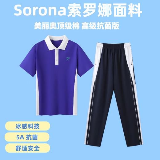 【高级抗菌版】索罗娜面料 深圳中学生校服夏装 商品图3