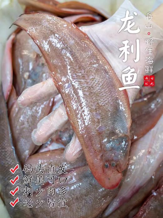 【闹妈海鲜】热气舟山粗鳞玉秃鱼龙利鱼 护眼很赞，小孩子多吃 商品图0