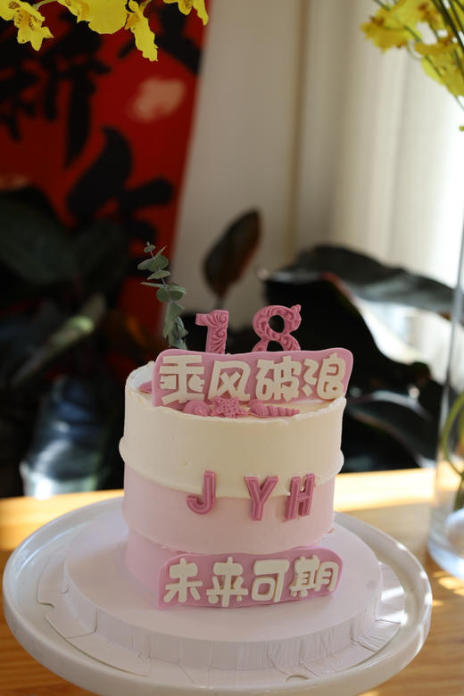 乘风破浪的18岁 商品图0