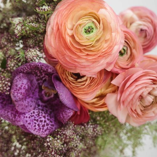 【春日心事Spring Diary】春绊蕾丝Sunrise Lace 商品图1