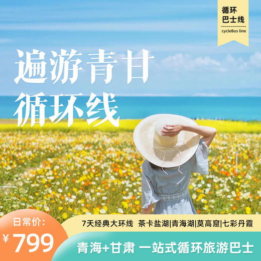 青甘大环线自由行-青甘循环巴士|西宁集散·16大精华景点随心搭配·深度切身走进大西北·开启西北之旅 商品图0