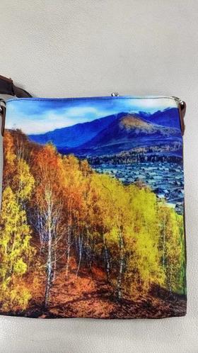 JS金亿裳手机包