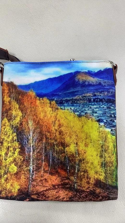 JS金亿裳手机包 商品图0