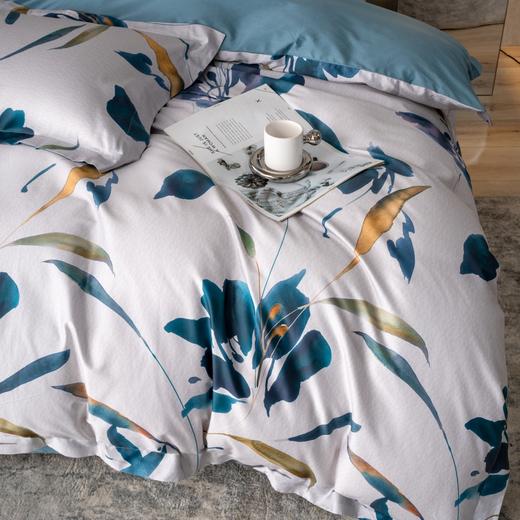 【麦上家居】全棉印花-瑞秋四件套MS 商品图6