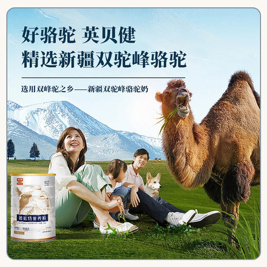 英贝健驼奶粉 1kg/罐 商品图2
