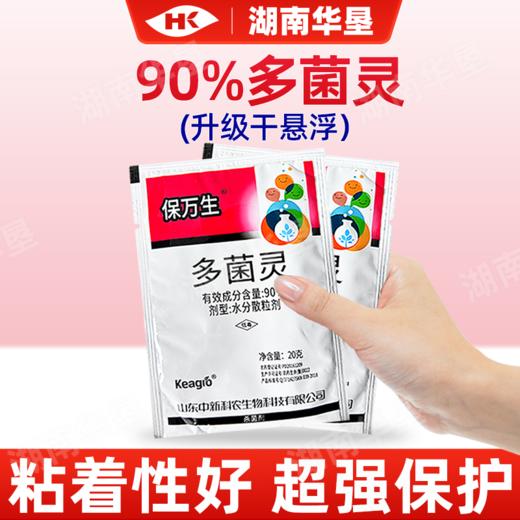 多菌灵水分散粒剂多灵菌菌核病油菜专用杀菌剂干悬浮防治真菌病菌 商品图3