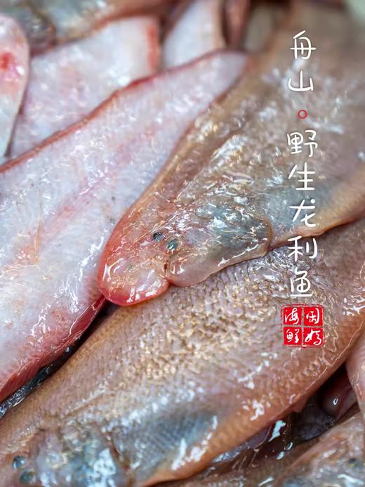 【闹妈海鲜】热气舟山粗鳞玉秃鱼龙利鱼 护眼很赞，小孩子多吃 商品图1
