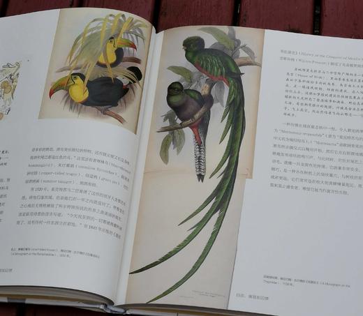 《鸟的魔力：一部绚烂的鸟类文化史》，大16开精装，[英]西莉亚.费希尔著，北京联合出版公司2019年版，定价108，售价35. 商品图9
