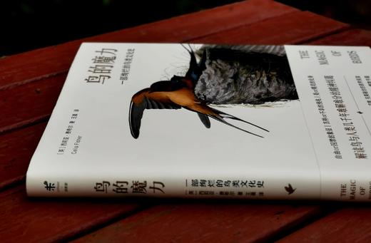 《鸟的魔力：一部绚烂的鸟类文化史》，大16开精装，[英]西莉亚.费希尔著，北京联合出版公司2019年版，定价108，售价35. 商品图3
