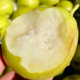库尔勒糖皮梨🍐甘甜清爽，肉质细脆，营养价值又高，全身都是宝，香梨（糖皮梨）可以生津、润燥、清热，梨皮同时也具备清心、润肺降火、生津、补阴的作用，有着“梨中珍品”的美誉！5斤/箱