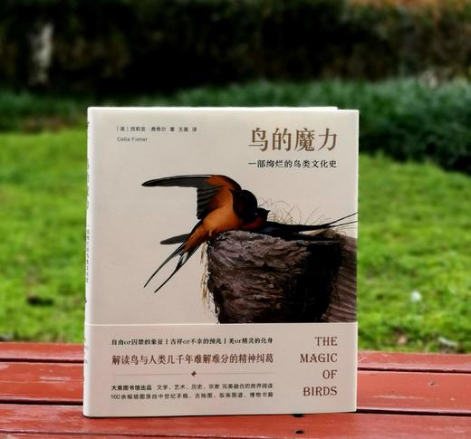 《鸟的魔力：一部绚烂的鸟类文化史》，大16开精装，[英]西莉亚.费希尔著，北京联合出版公司2019年版，定价108，售价35. 商品图0