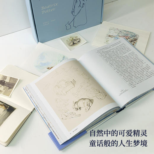 彼得兔作者新书|自然的童话：毕翠克丝·波特的艺术世界  收录142幅珍贵作品 回顾比得兔创作者艺术创作生涯 绘本传记 商品图3