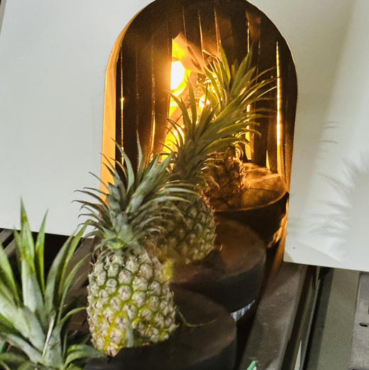 【72小时左右发货】海南自然熟金钻凤梨 4.5-5斤装 商品图2