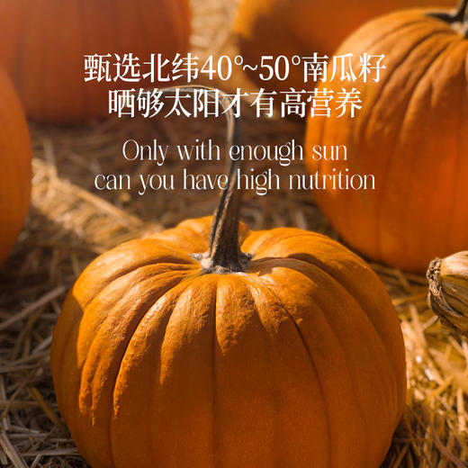 【一乐老师专属】风味南瓜籽油 呵护男性健康 商品图3