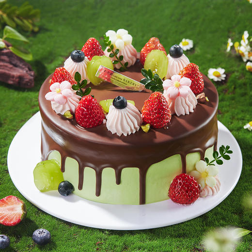 【动物奶油】开心春天 商品图0