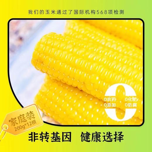 🌹🌽田里有草甜糯玉米，被誉为“玉米界的爱马仕”，口感丰富有层次，软糯交错。耗时两年选定非转基因良种，集色、香、甜、糯于一身，浓浓的自然玉米香，儿时的记忆，妈妈的味道😍是普通玉米无法复制的 商品图4