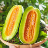 【秒杀4.5元/斤】五原本地博洋脆甜瓜 (1斤，超重部分店内补差价)（当日可提货） 商品缩略图1
