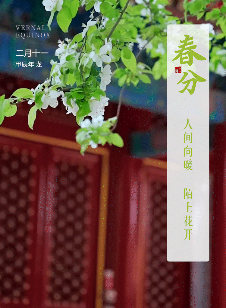 春分|人间向暖，陌上花开