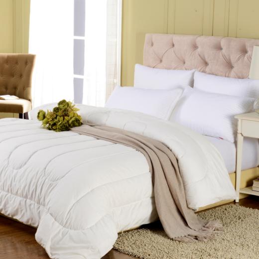 【专柜直发】安睡宝 新羽舒柔聚暖双人冬被 商品图0