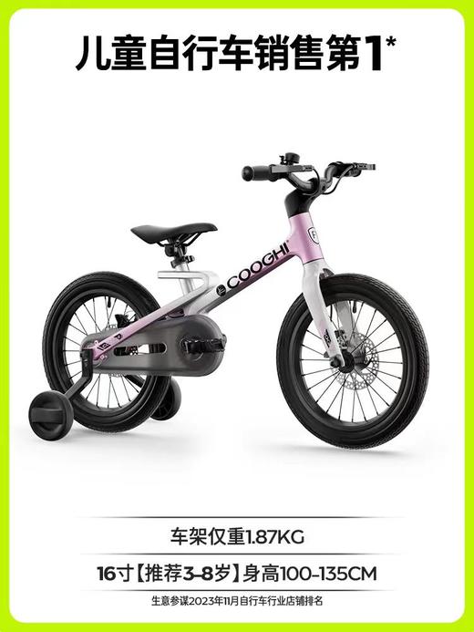 迅猛龙自行车F1
（16寸） 商品图0