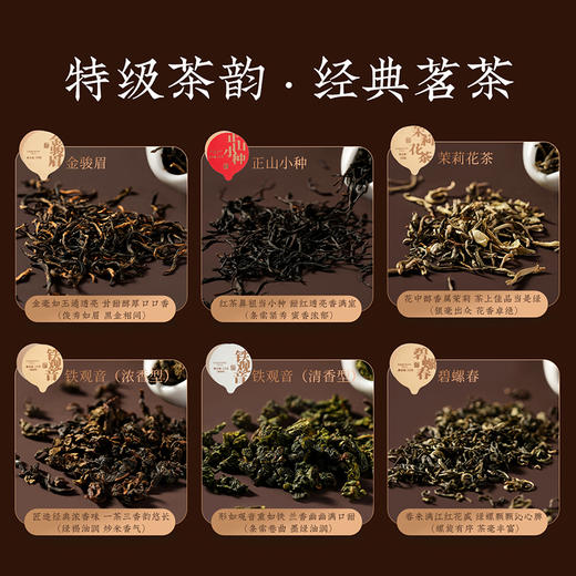 【禅韵东方】去寻 六大茗茶 铁观音 金骏眉 正山小种 茉莉花茶 碧螺春 特级轻奢茶礼 小罐包装 净含量168g 商品图3