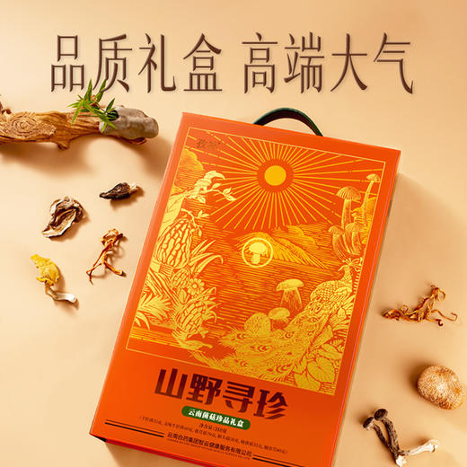 【官方正品】云南白药孜补山野寻珍云南菌菇珍品礼盒310g野生菌高端送礼六种菌菇猴头菇牛肝菌羊肚菌 商品图3