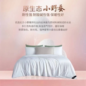 【专柜直发】安睡宝 全棉提花蚕丝春秋被-沁柔 多款可选