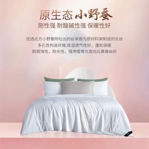 【专柜直发】安睡宝 全棉提花蚕丝春秋被-沁柔 多款可选 商品图0