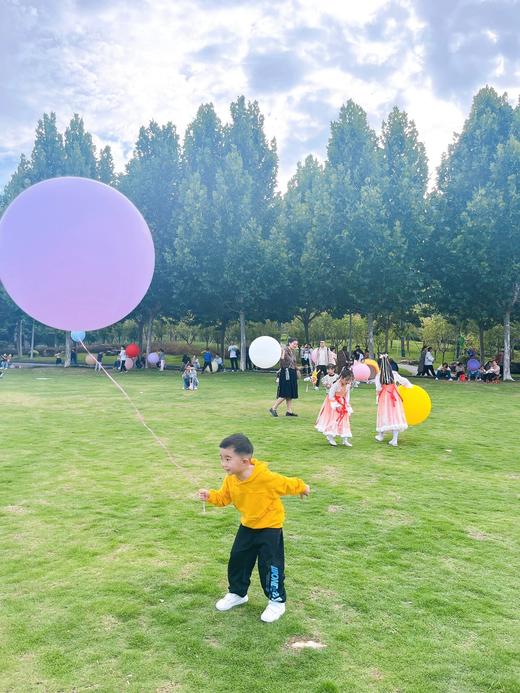 19.9 加厚大气球5个+打气筒 和丝带 商品图2