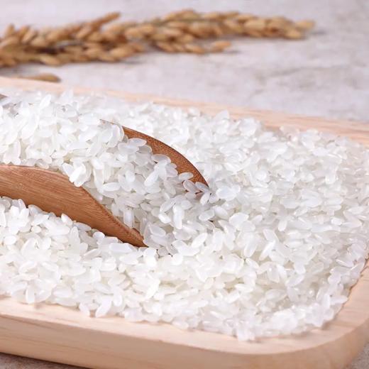 禾园常 长粒香大米2.5kg  东北大米当季新米 商品图5