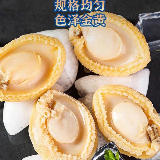 20头500g黄金鲍鱼肉【-4B】 商品图1