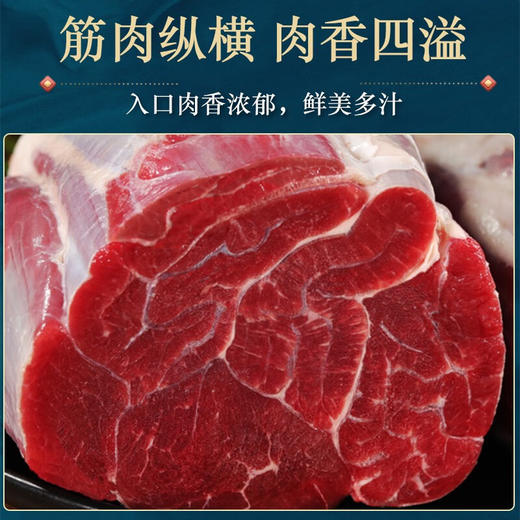 搏嘉黄牛肉 新鲜现切自然散养 绿色健康  牛腱子 2500g/箱   5斤装 商品图2