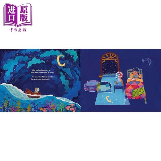 【中商原版】丢失的棍子 Anoosha Syed Lost Stick 英文原版 儿童绘本 宠物故事图画书 精装精品绘本 亲子读物 进口童书 3-7岁 商品图4