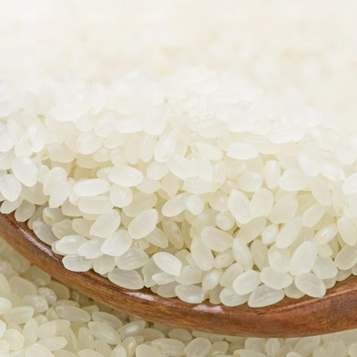 禾园常 东北大米珍珠小香稻5kg 当季新米 商品图4