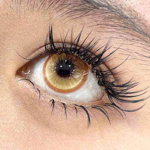 Yukicon2片/盒装日抛-YC053金色鲤鱼 商品图5