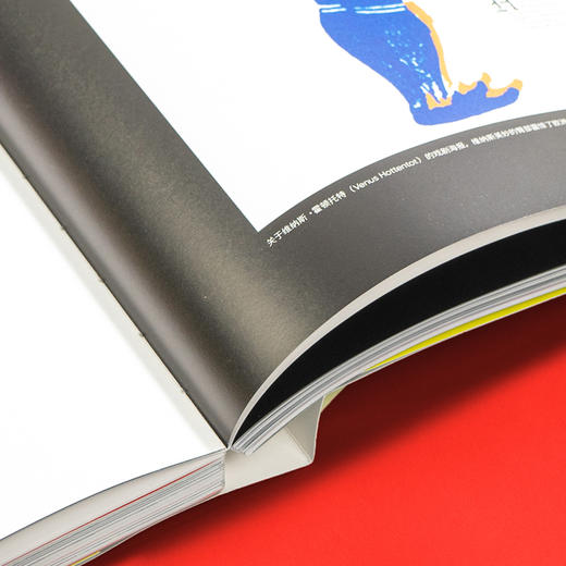 【Sendpoints】【Light光芒系列】宝拉·雪儿的美学：设计中的大事 中文简体原版艺术设计 商品图4