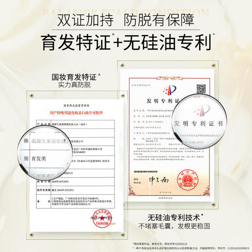 滋源生姜强根健发洗头水(中干性)535ml 商品图1