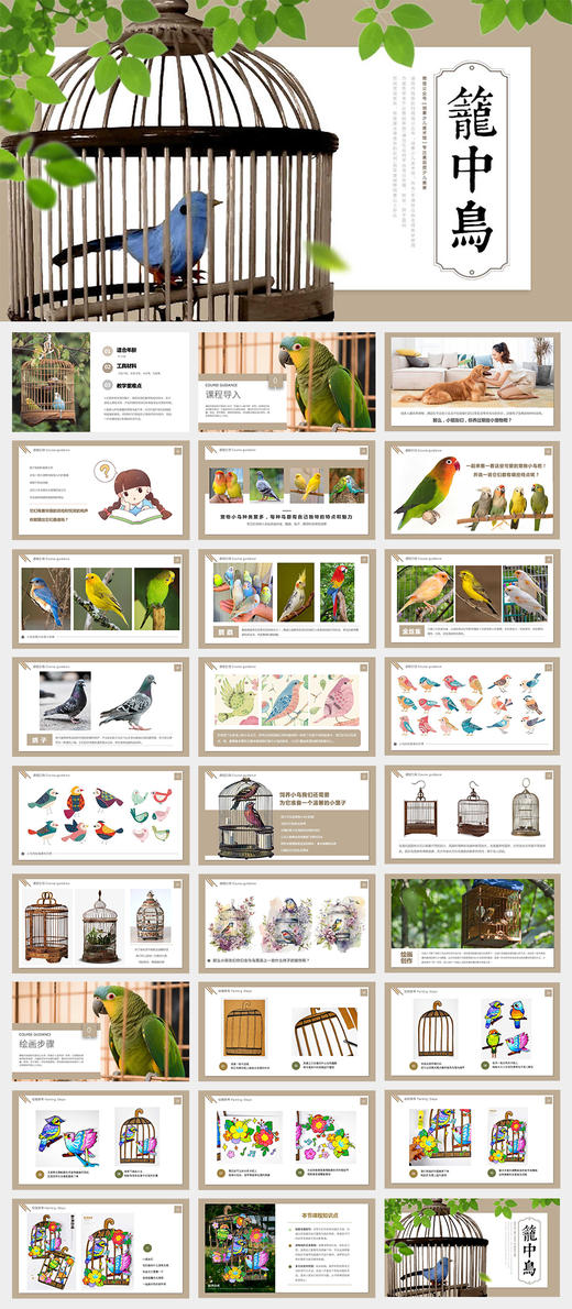 《鸟笼里的歌声：色彩斑斓的宠物鸟》鹦鹉/线描/手工/自动发货：下单后，点击手机短信中收到的链接，即可获取文件下载的链接；如有任何问题，可添加客服微信hm33268获得帮助。 商品图2