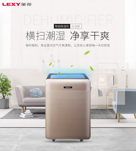 莱克（LEXY）除湿机  家用大风量净化型地下室除潮吸湿抽湿机干衣机  DH200 商品图2