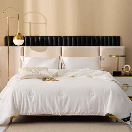 【专柜直发】安睡宝 莱赛尔棉提花玉米纤维春秋被 多款可选 商品图0