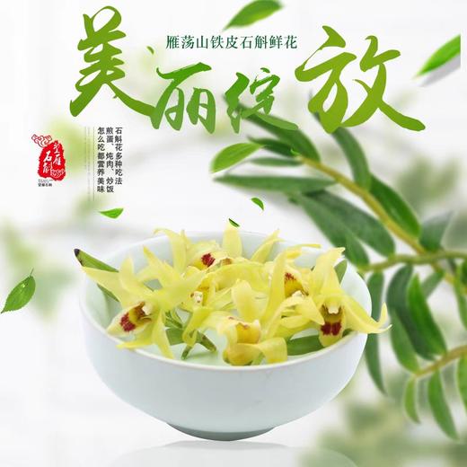 【提前一天预定】铁皮石斛鲜花 商品图0
