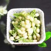 鲜食茉莉花 商品缩略图1