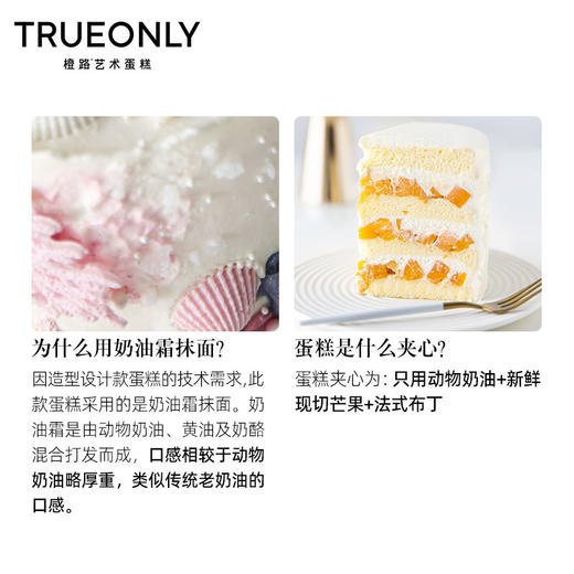 【克罗地亚】焕若霓虹·邂逅人鱼 商品图2