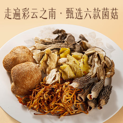 【官方正品】云南白药孜补山野寻珍云南菌菇珍品礼盒310g野生菌高端送礼六种菌菇猴头菇牛肝菌羊肚菌 商品图1