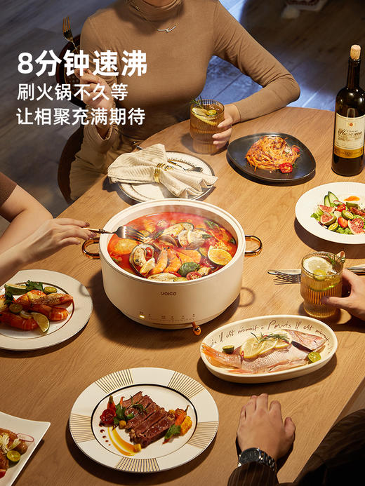 优益电火锅Y-DHG16
 商品图0