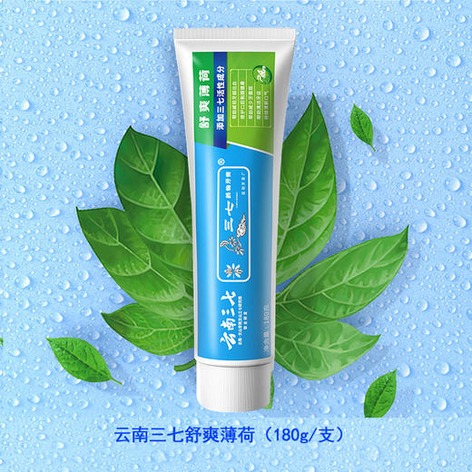 云南三七药物牙膏（舒爽薄荷）180g 商品图1