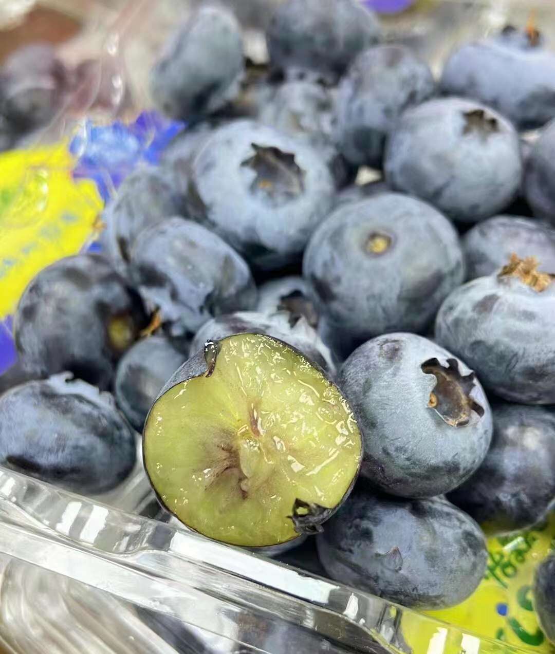 云南怡颗莓 蓝莓 鲜果