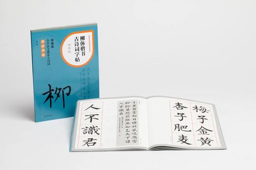 小学生古诗词书法字帖《柳体楷书古诗词字帖》（一、二、三、四、五、六年级） 商品图4